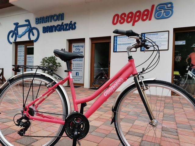 Premium aluminium trekking bike