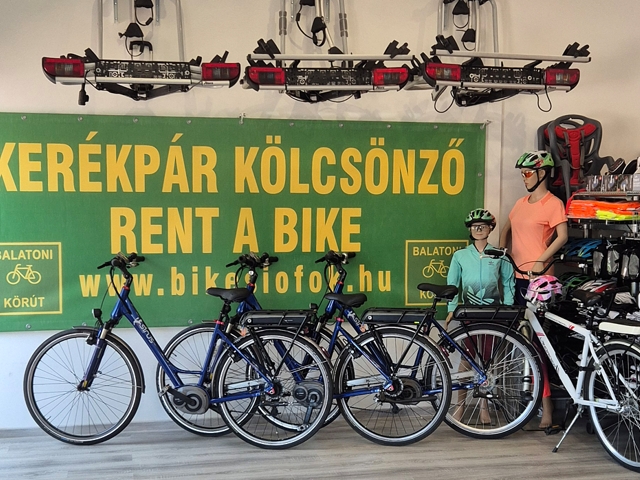 Electric e-bike for rent